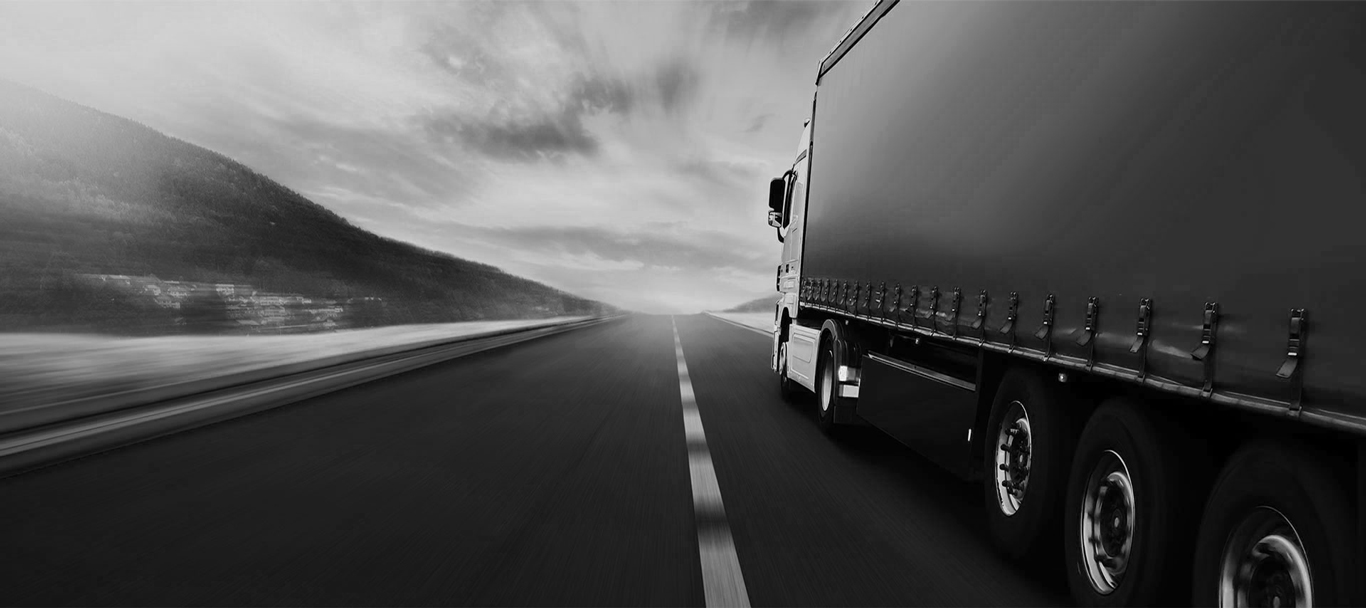  Dal 1979 al vostro servizio con puntualità e qualità. 